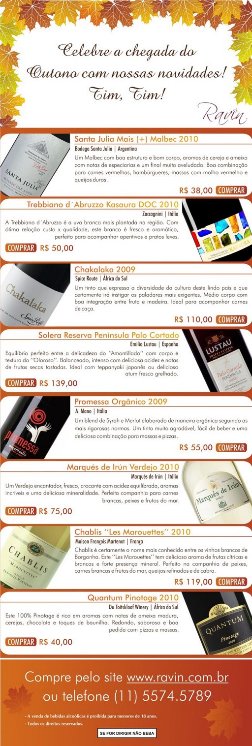 blog_EmailmktMarco12