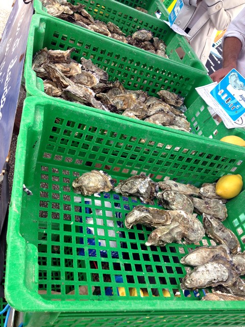 Feira_Le_Teich_ostras