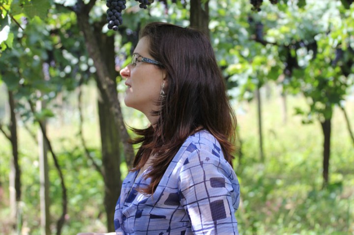 PaulaGuerraSchenato_vinhedo
