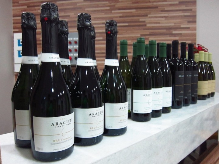 Degustacao_Aracuri_Vinvm_vinhos