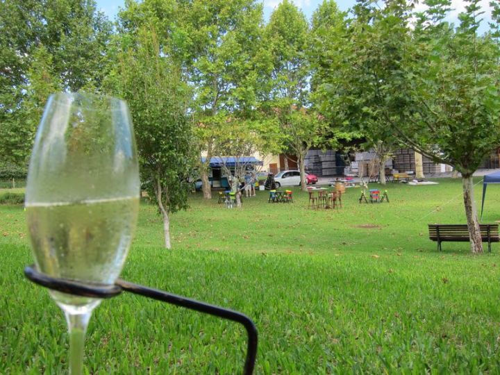 MioloWineGarden_IMG_9355_800x600