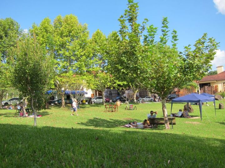 MioloWineGarden_IMG_9357_800x600